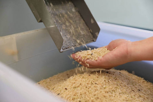 décortiqueuse de riz moderne en activité