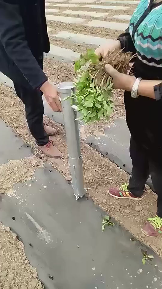 Transplanteur Manuel de Semis de Légumes - Machine de Plantation Professionnelle