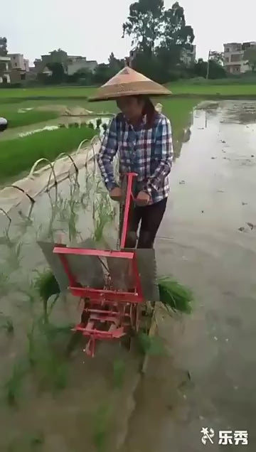 Planteur de Riz Manuel 2 Rangs - Machine Agricole pour Semis de Précision