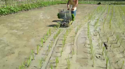 Mini Planteuse de Riz Manuelle 2 Rangées - Haute Efficacité Agricole