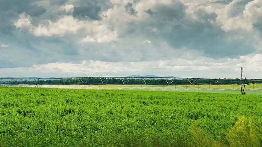 Système d'irrigation pivot central intelligent pour agriculture professionnelle