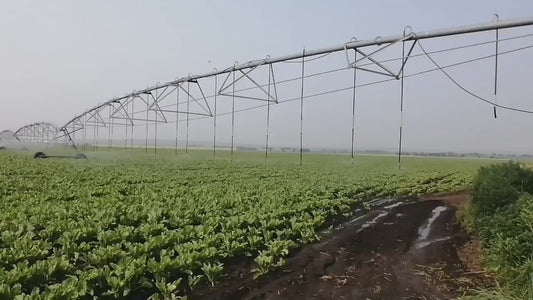 Système d'Irrigation Pivot Central Valley 40ha - Performance Agricole Optimale