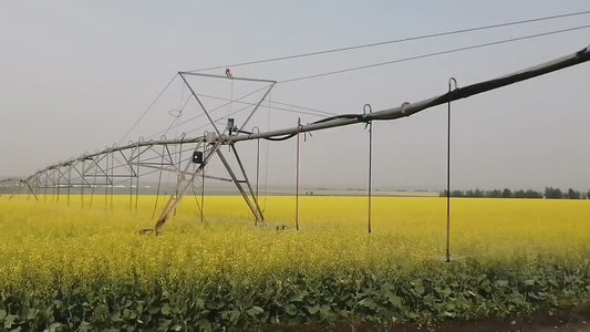 Système d'irrigation pivot central haute performance pour grandes surfaces agricoles