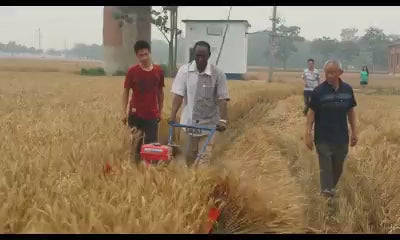 Moissonneuse Agricole Compacte pour Riz et Blé - Machine de Récolte Professionnelle