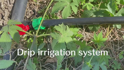 Système d'irrigation agricole à bande d'égouttement professionnel