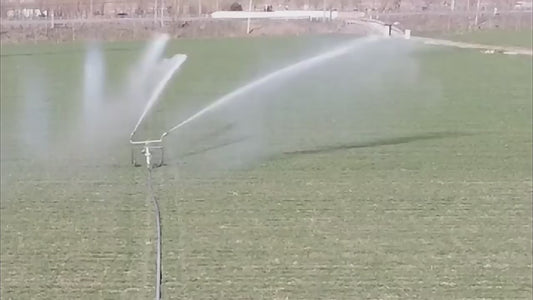 Système d'irrigation automatique agricole avec enrouleur de tuyau professionnel