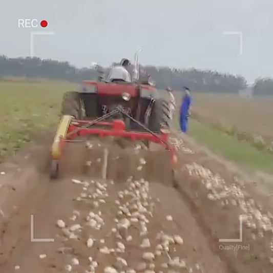 Récolteuse de Pommes de Terre Monorang - Performance Agricole Professionnelle