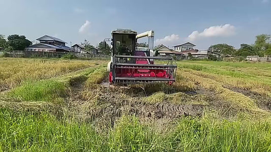 Moissonneuse-batteuse agricole professionnelle pour riz et blé - Performance garantie