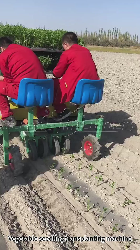 Planteuse Automatique de Légumes Professionnelle Multi-Rangs pour Agriculture