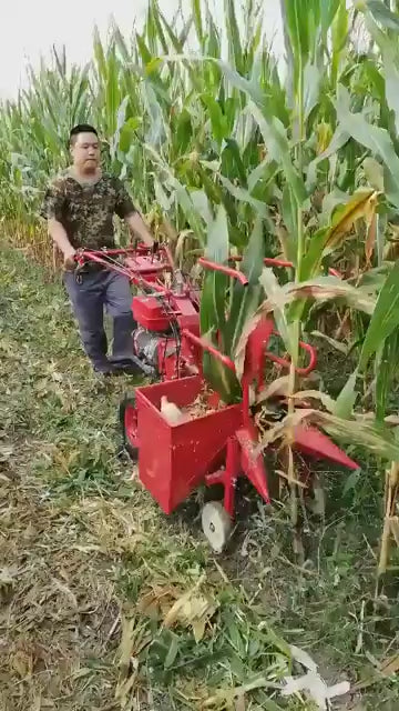 Mini Moissonneuse de Maïs YF-246 - Machine Agricole Professionnelle Diesel