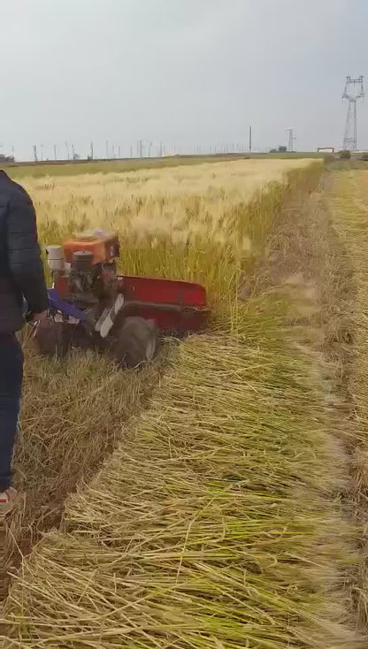 Moissonneuse à Riz Manuelle Professionnelle - Performance et Fiabilité Garanties