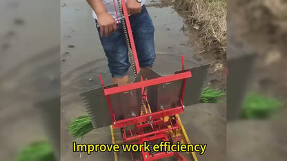 Transplanteur Manuel de Riz 2 Rangées - Machine Agricole Professionnelle