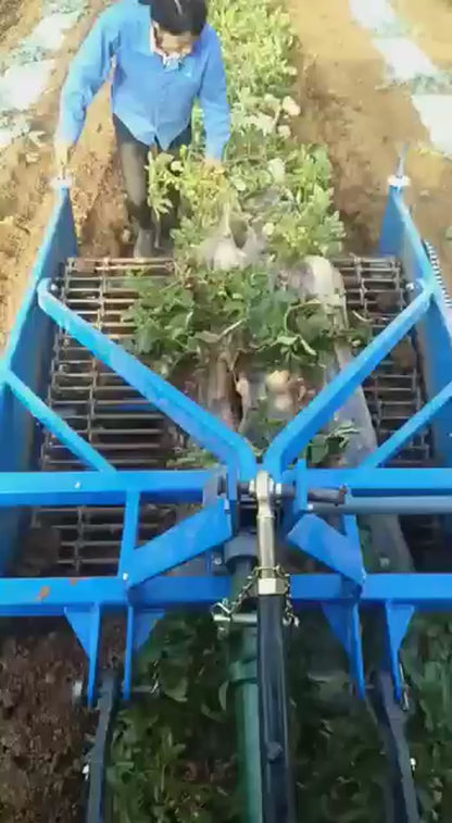 Récolteuse de Pommes de Terre Professionnelle - Machine Agricole Performante