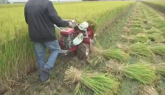 Moissonneuse-batteuse de Riz Compacte - Machine Agricole Professionnelle