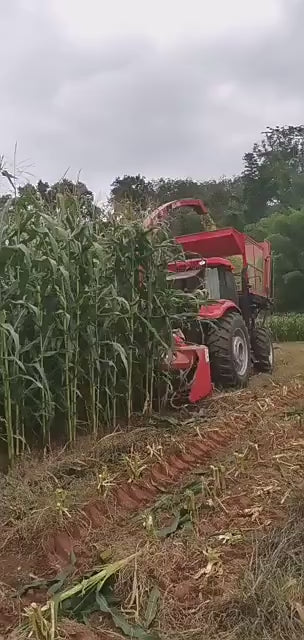 Ensileuse à Double Rangée pour Maïs et Fourrage - Performance Agricole Optimale