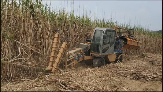 Machine de récolte de canne à sucre professionnelle 8.5T - Performance optimale