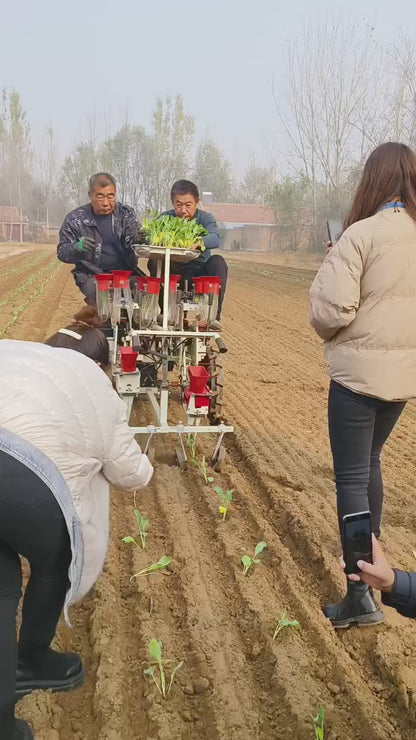 Planteuse Automatique de Légumes à 2 Rangs - Machine de Repiquage Professionnelle