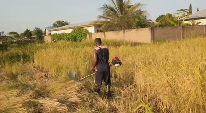 Machine de Récolte de Riz Professionnelle pour Cultures Multiples