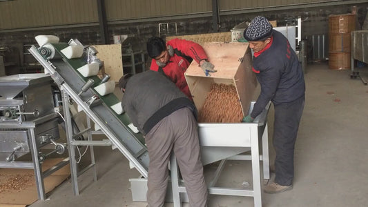 Machine à décortiquer professionnelle pour amandes et fruits secs - Haute performance