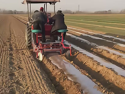 Transplanteur Professionnel de Pommes de Terre avec Système d'Engrais Intégré