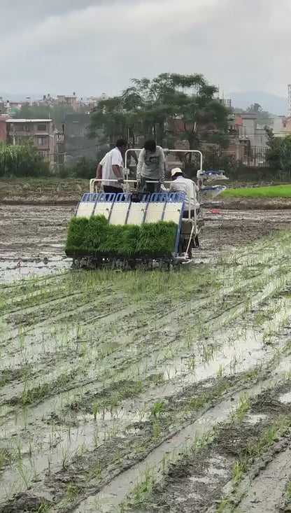 Planteuse de Riz Agricole 8 Rangs - Machine Professionnelle à Haut Rendement