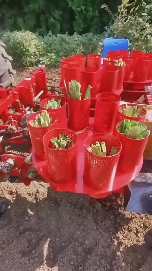 Semoir Agricole Professionnel pour Légumes - Planteuse de Semis Multi-rangées