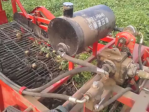 Machine de Récolte Agricole 2 Rangs - Arracheuse de Pommes de Terre et Carottes