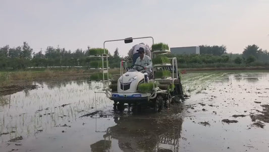 Transplanteur de Riz Professionnel 6 Rangées - Haute Performance Agricole