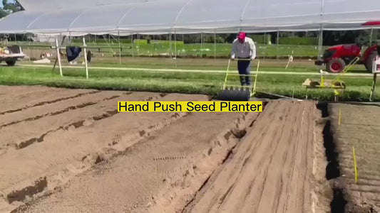 Semoir Manuel Multi-rangs pour Légumes - Planteur de Précision Professionnel