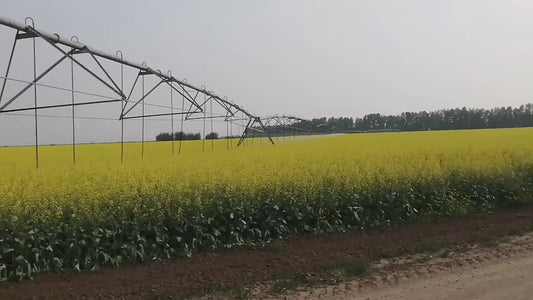 Système d'Irrigation Pivot Central Professionnel pour Agriculture Moderne