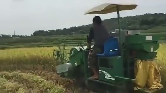 Moissonneuse-Batteuse Compacte pour Blé et Riz - Machine Agricole Professionnelle