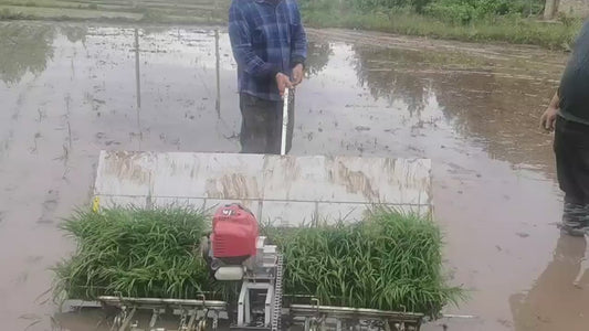 Transplanteur de Riz Manuel 6 Rangées - Machine de Plantation Semi-Automatique