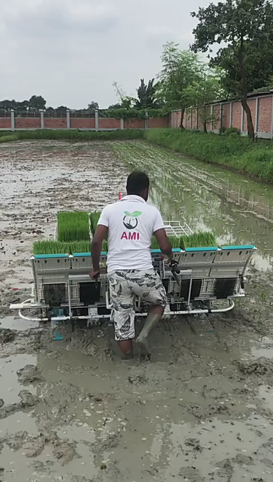 Transplanteur de Riz Professionnel 6 Rangées - Haute Performance Agricole