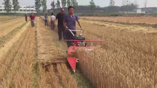 Mini Moissonneuse Agricole Polyvalente - Machine de Récolte Professionnelle